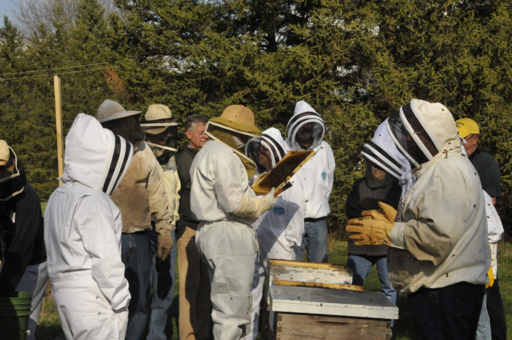 beekeepingclub2