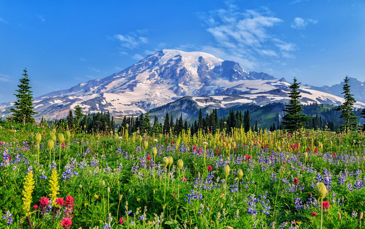 Mount Rainier NP Mount Rainier NP