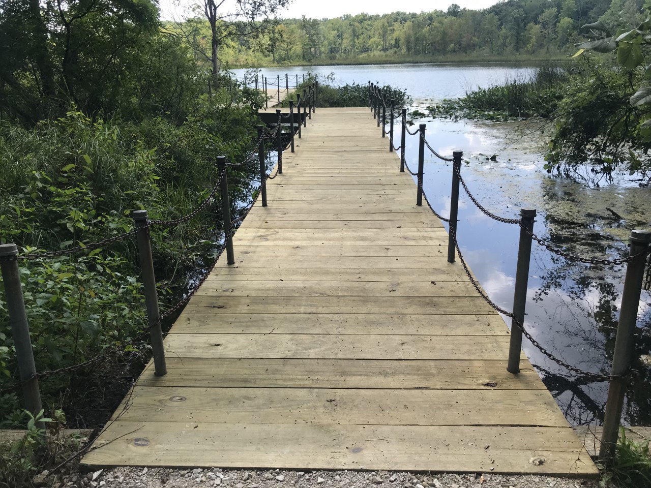 dock 1 dock 1