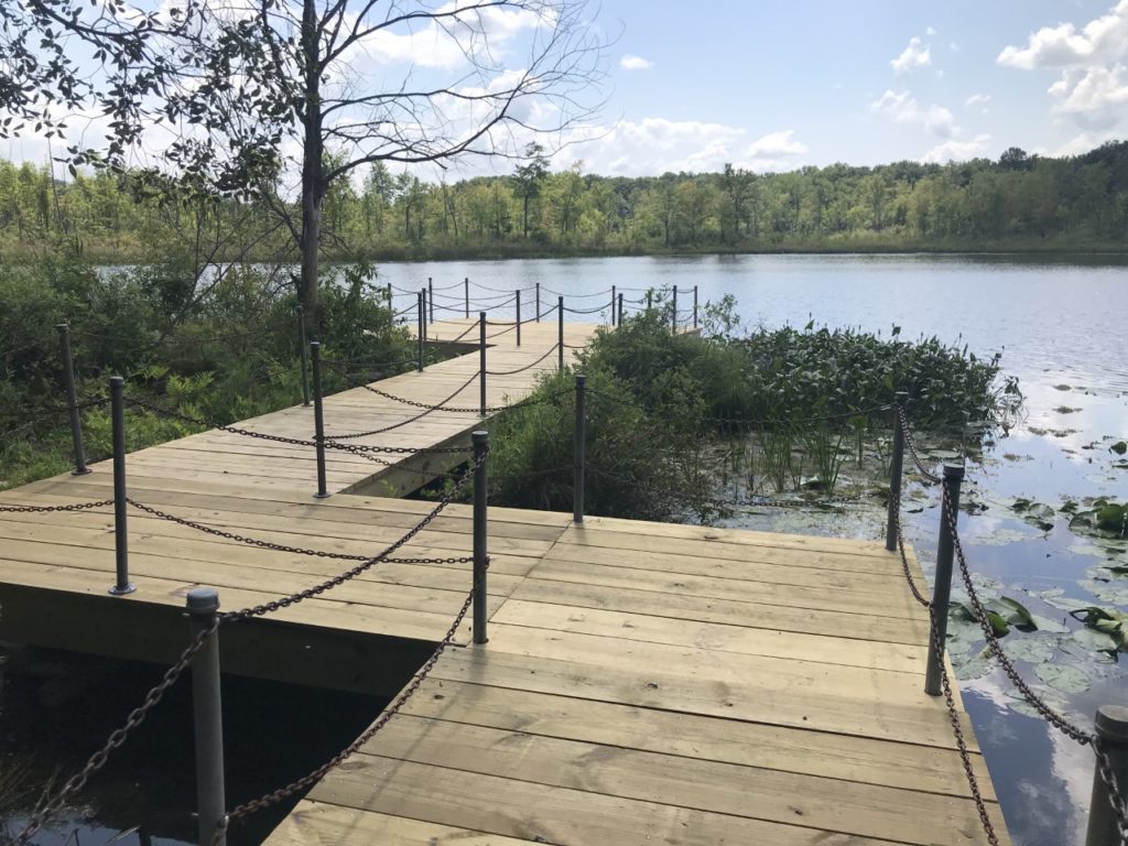 Home - Seven Ponds Nature Center