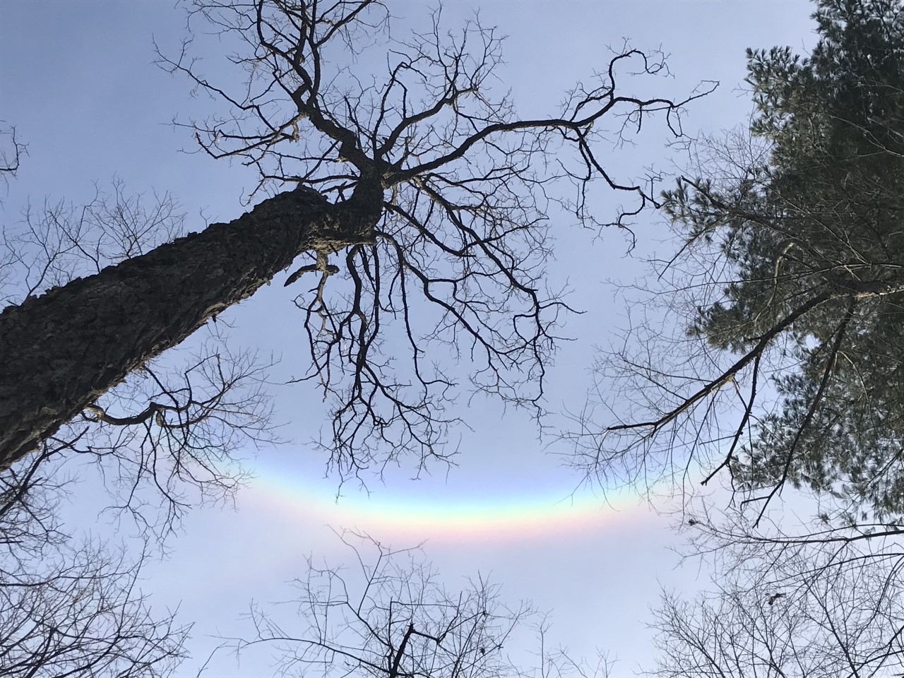 Midday rainbow above our future naturescape. 