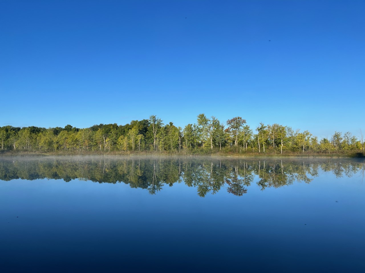 Early morning reflection on Treetop Pond