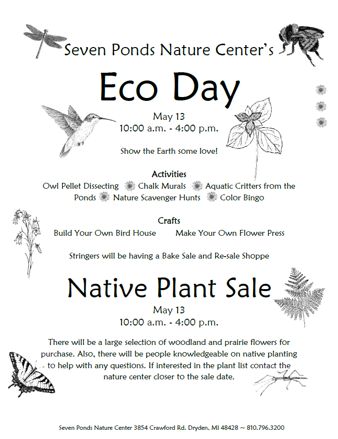 Eco Day flier