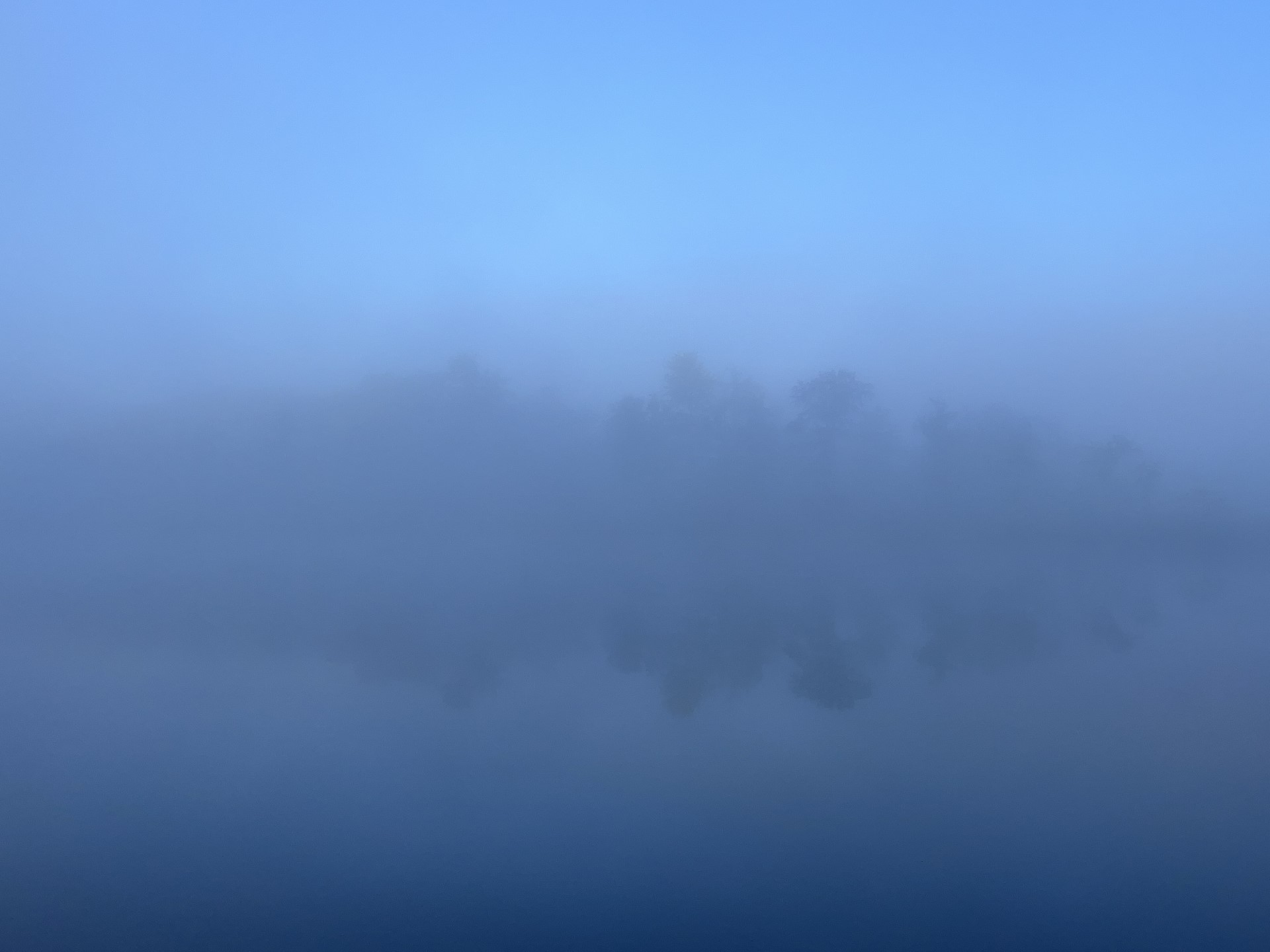 Misty morning fog over Treetop Pond