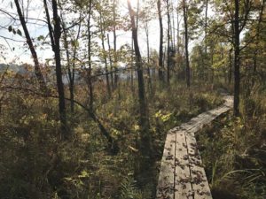 Miller Pond Boardwalk