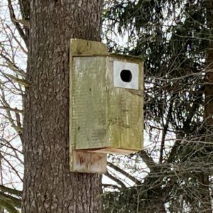 wood duck box 01