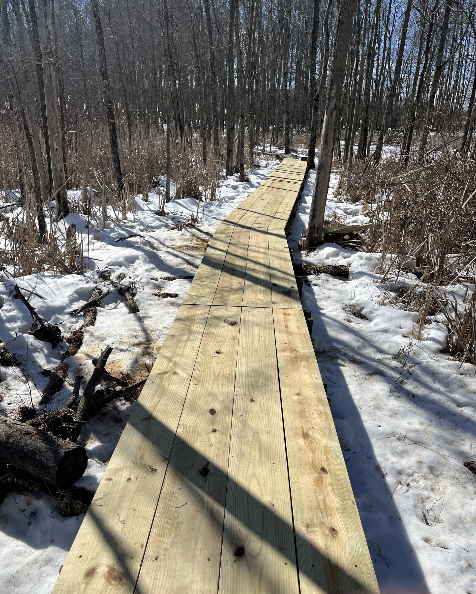 Miller Pond boardwalk rebuild 1