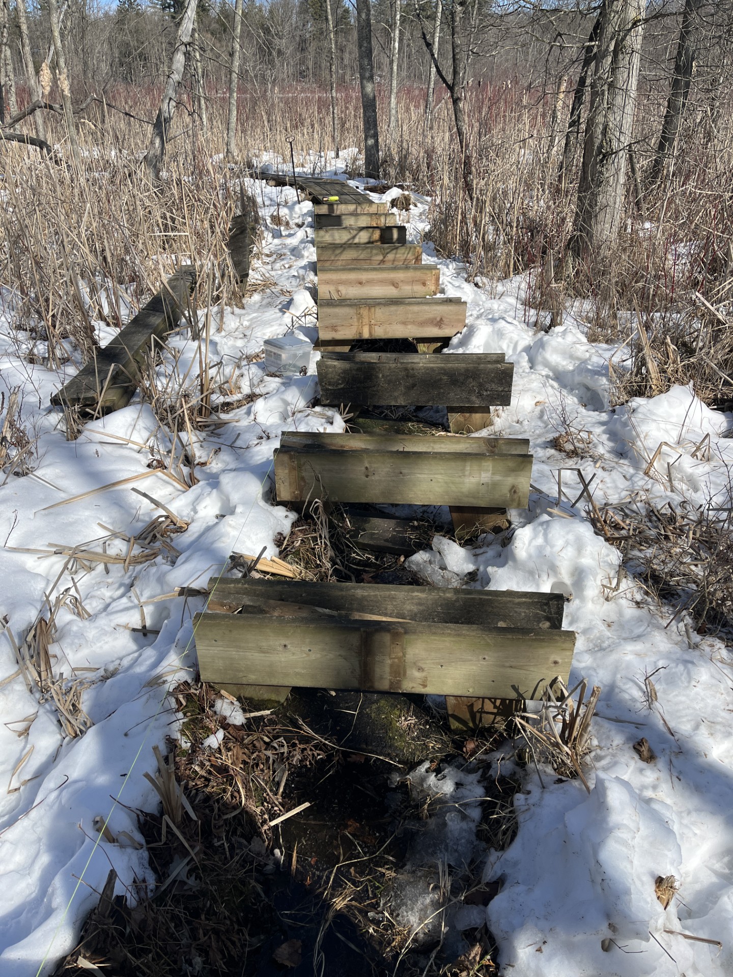 Miller Pond boardwalk rebuild 3