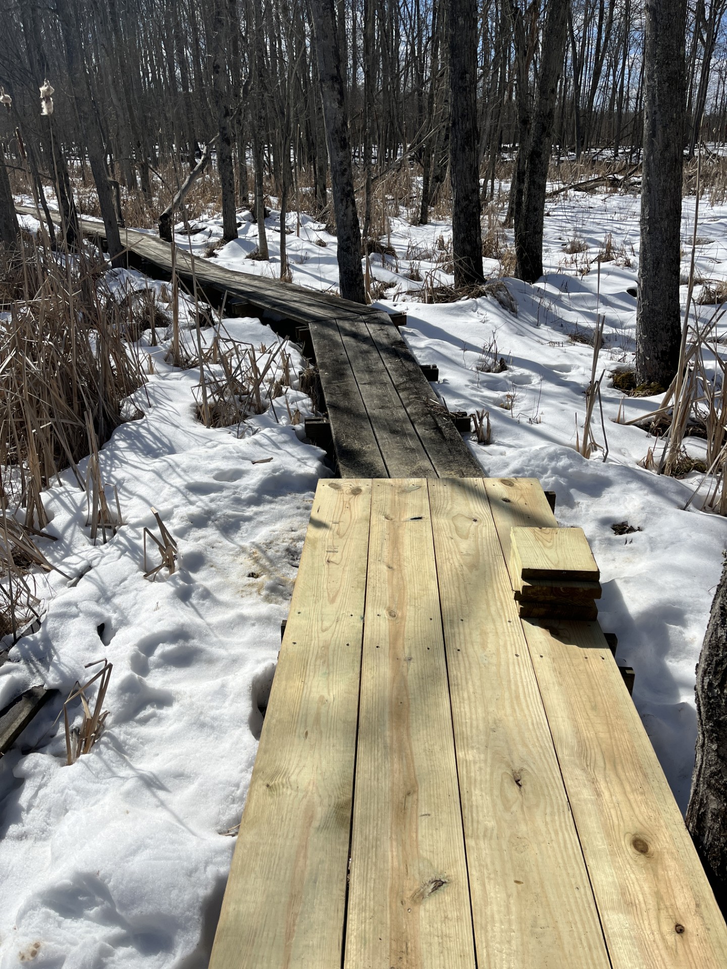 Miller Pond boardwalk rebuild 4