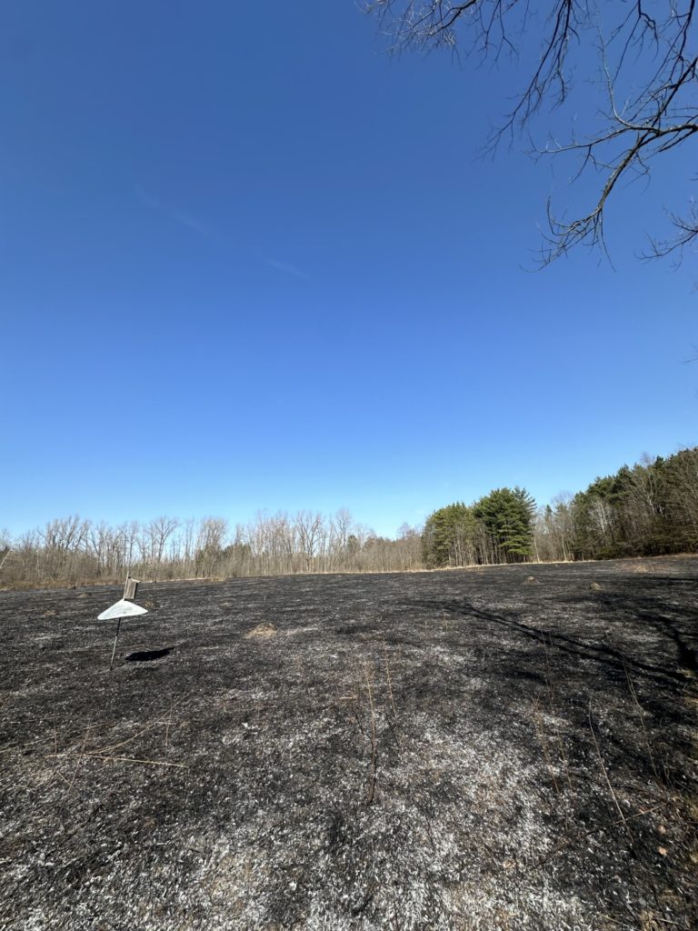 prairie burn 4 2025 Another successful seasonal burn of Earl's Prairie!