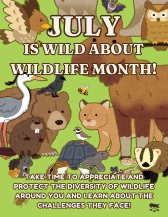 Monthly Store Promo Display - 9