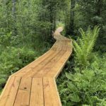 Miller Pond boardwalk