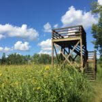 Observation platform on the tallgrass prairie