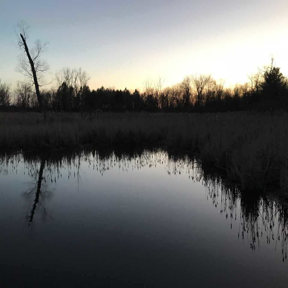 Waterfowl Pond at Sunset