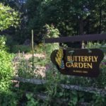 butterfly garden sign